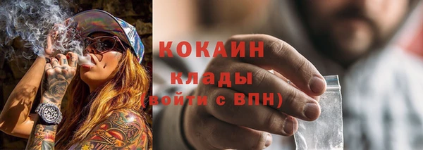 гашик Михайловск