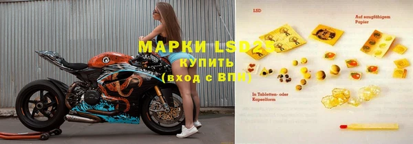 гашик Михайловск