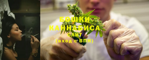 гашик Михайловск